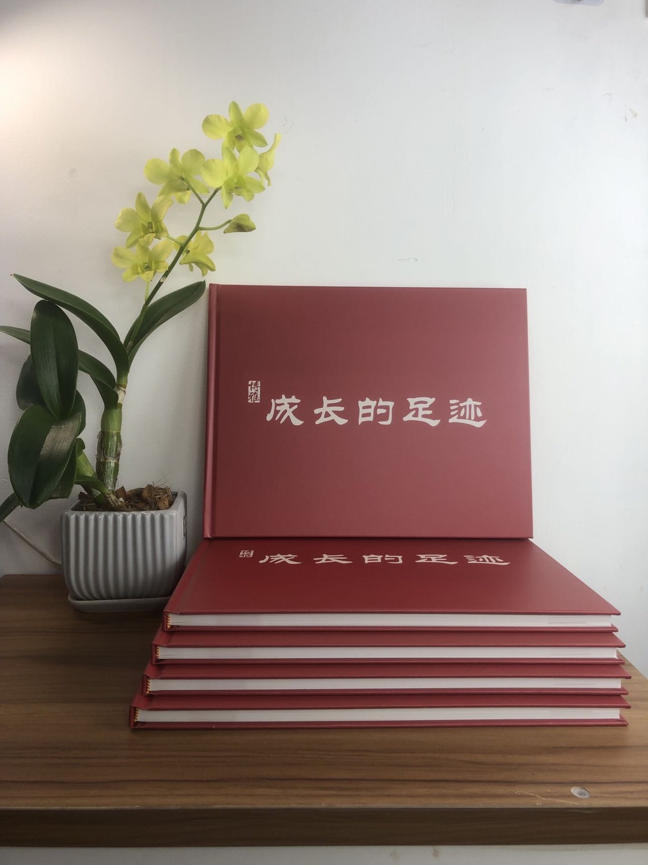 廣州印刷廠- 企業(yè)宣傳冊印刷